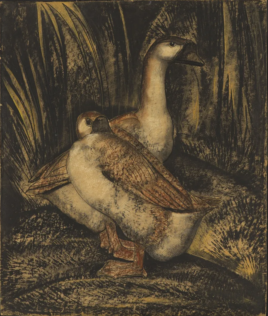 Willem van den Berg (1886-1970) Two African Geese (recto); A lizard on a Tree (verso),