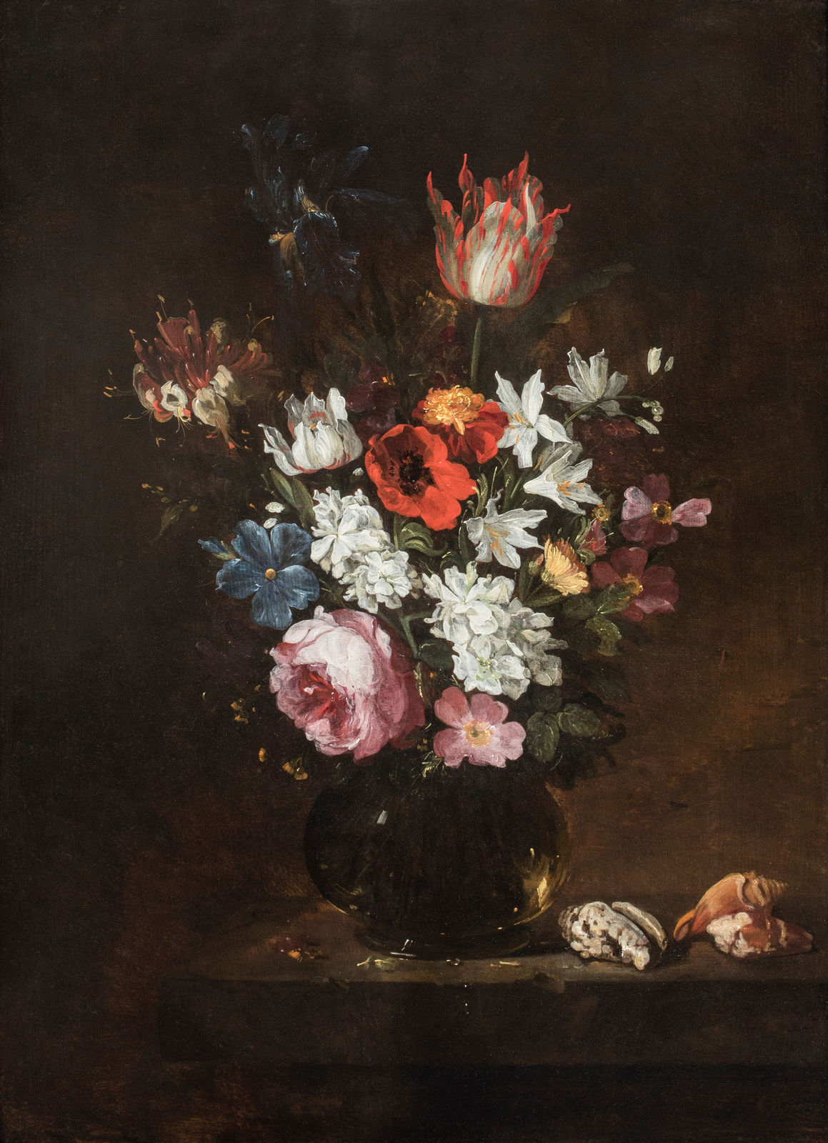 Jacques de Claeuw (1623-1694) A Rose, Tulip, Iris, Poppies, Honeysuckle, and other Flowers in a Glass Vase with Seashells, 1651