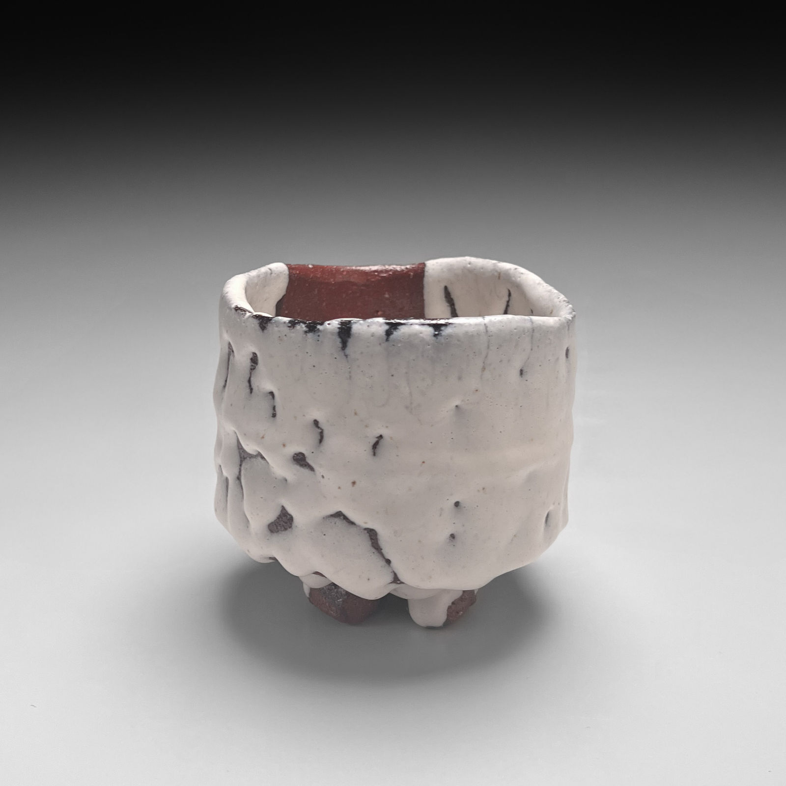 NISHIHATA TADASHI, One Hundred Views of Snow Warikodai (split-foot) teabowl covered in unctuous crawling white glaze, 2025