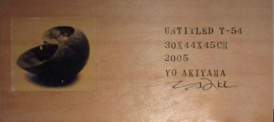 AKIYAMA YŌ, Untitled T-54, 2005