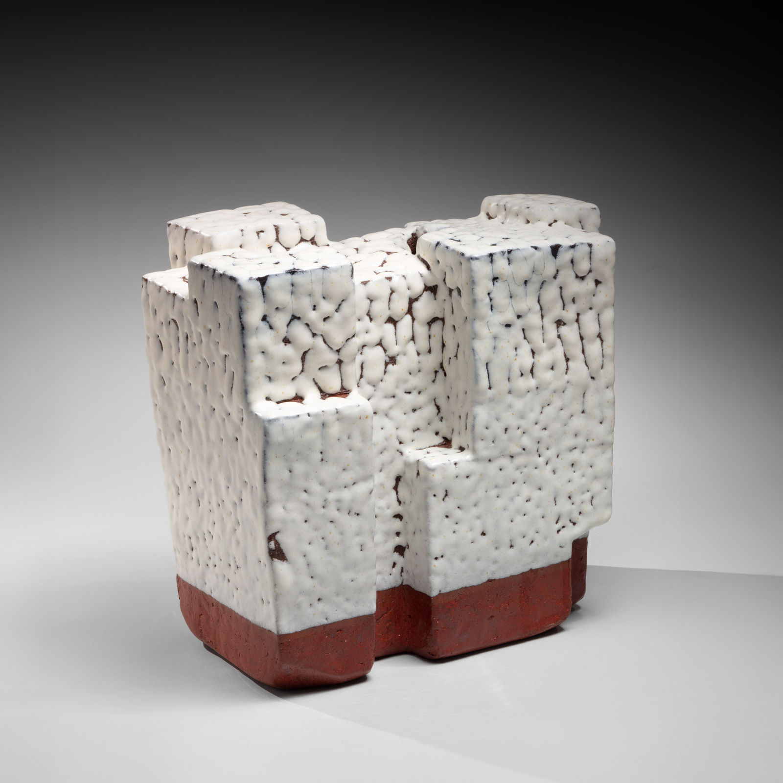 NISHIHATA TADASHI, One Hundred Views of Snow Vessel, 2025