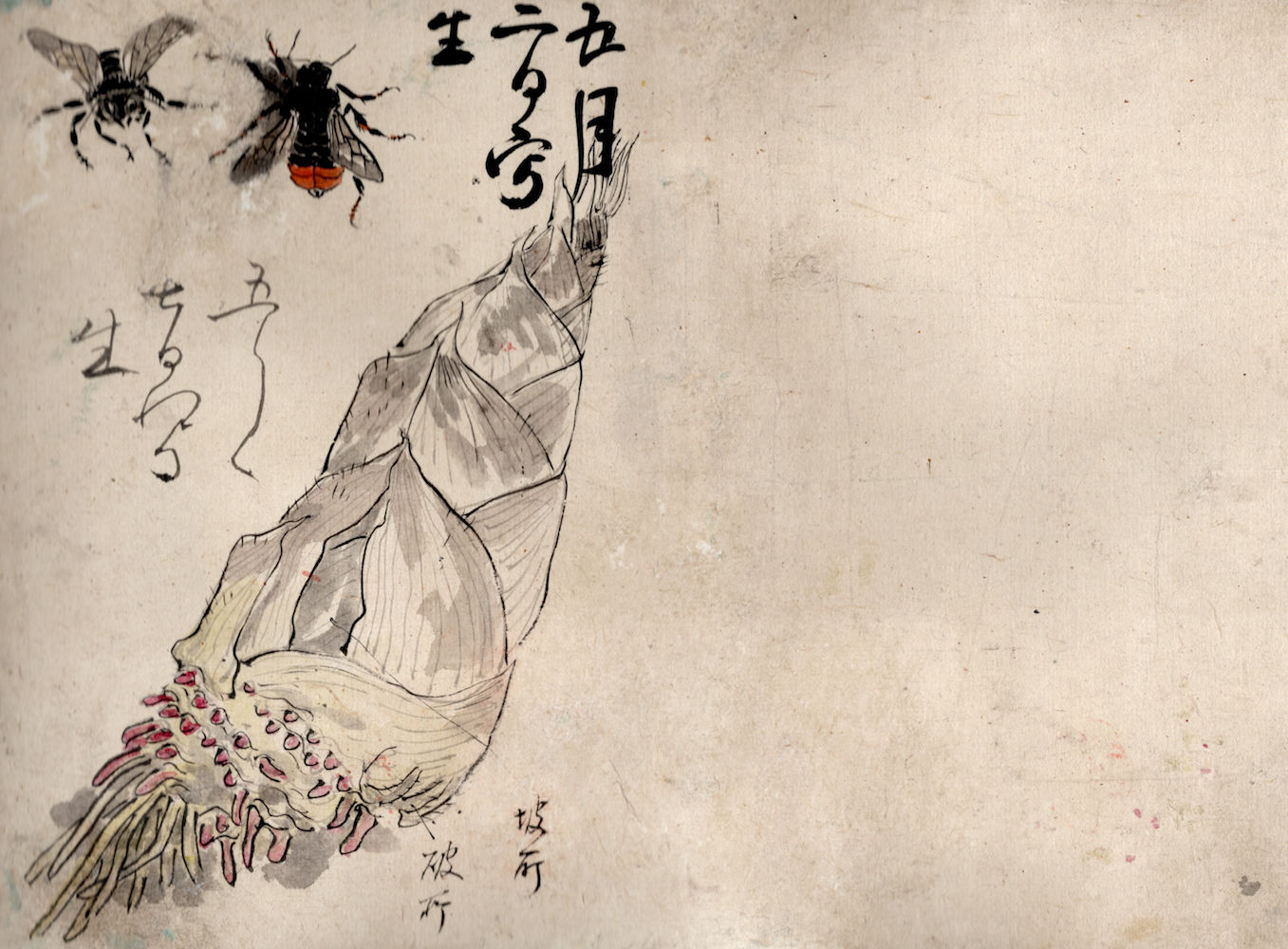 Shoka Watanabe (1835-1887), Sketchbook, ca 1860