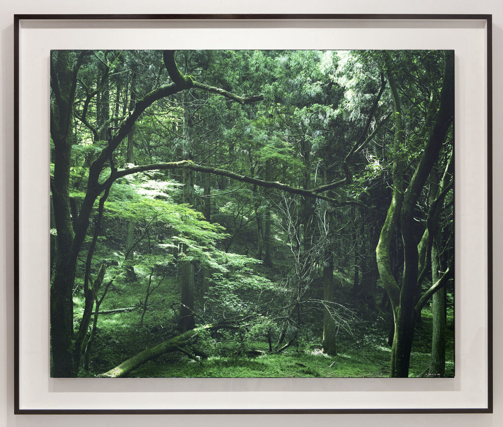 Yojiro Imasaka, Illuminating Earth 89, 2019