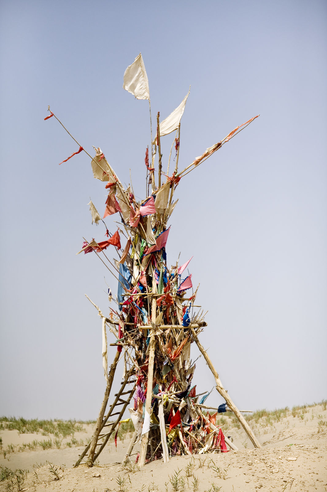 Lisa Ross, Unrevealed Site 3 (Exalt Extend), 2014