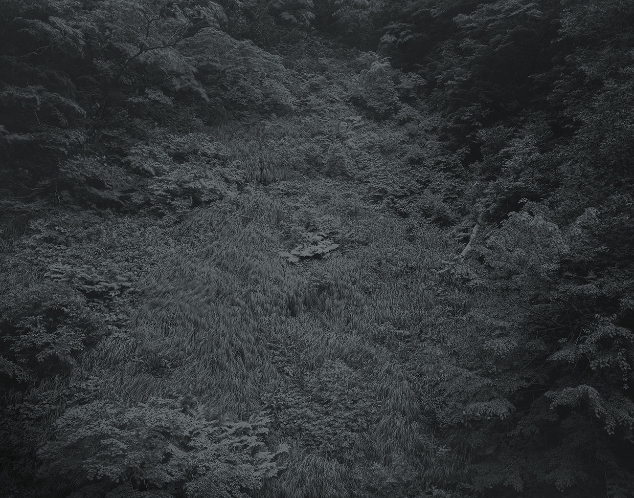 Yojiro Imasaka, Illuminating Earth 136 - C20 May 22, 2020, 2020