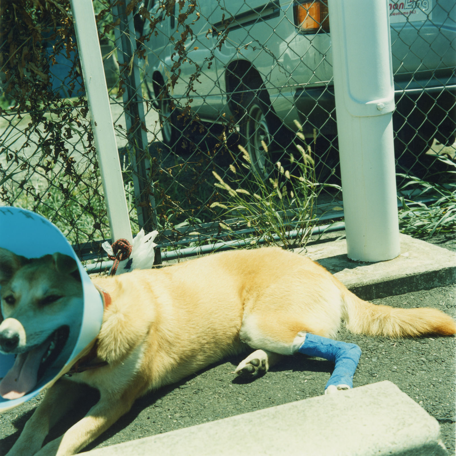 Mikiko Hara, Untitled, 1996