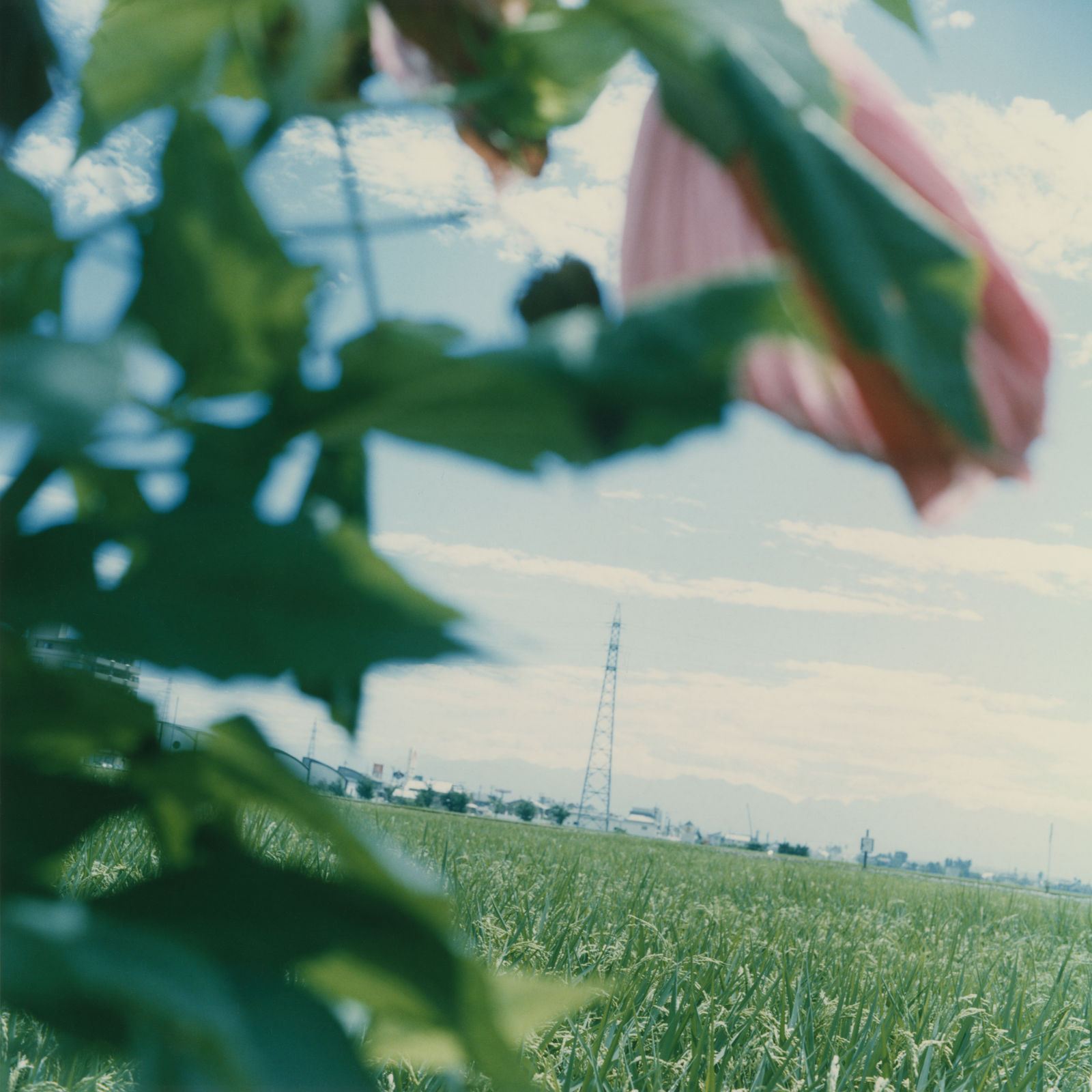 Mikiko Hara, Untitled, 1998