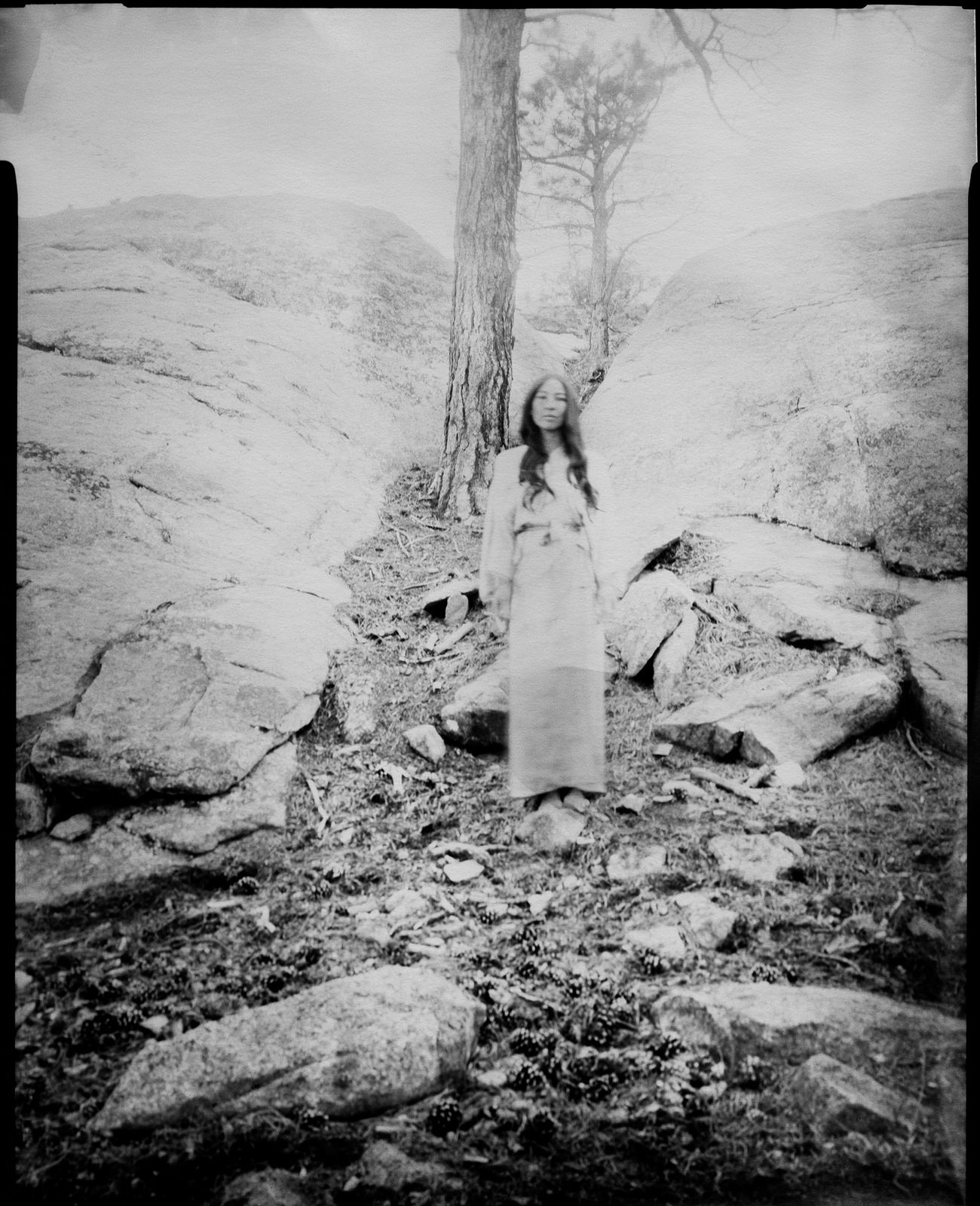 Koyoltzintli , Artemisia , 2019