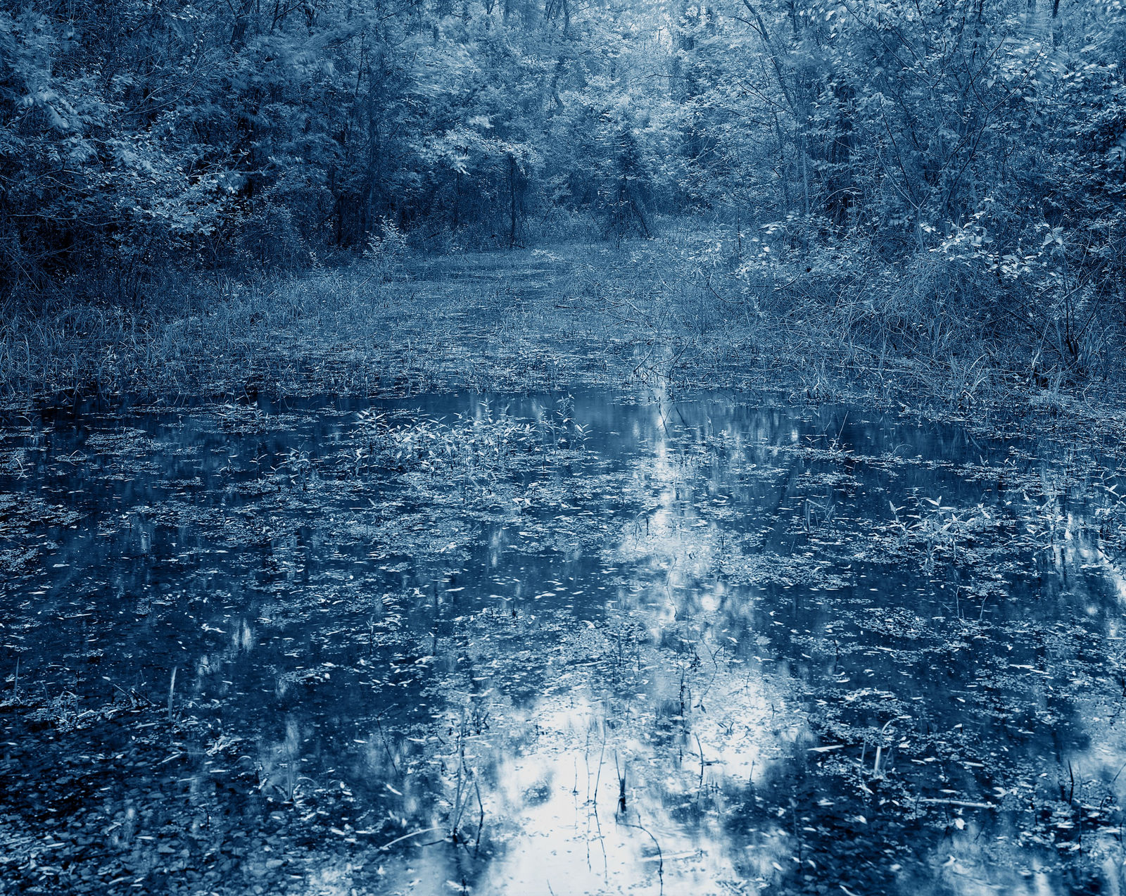 Yojiro Imasaka, Blue Bayou 15, 2016