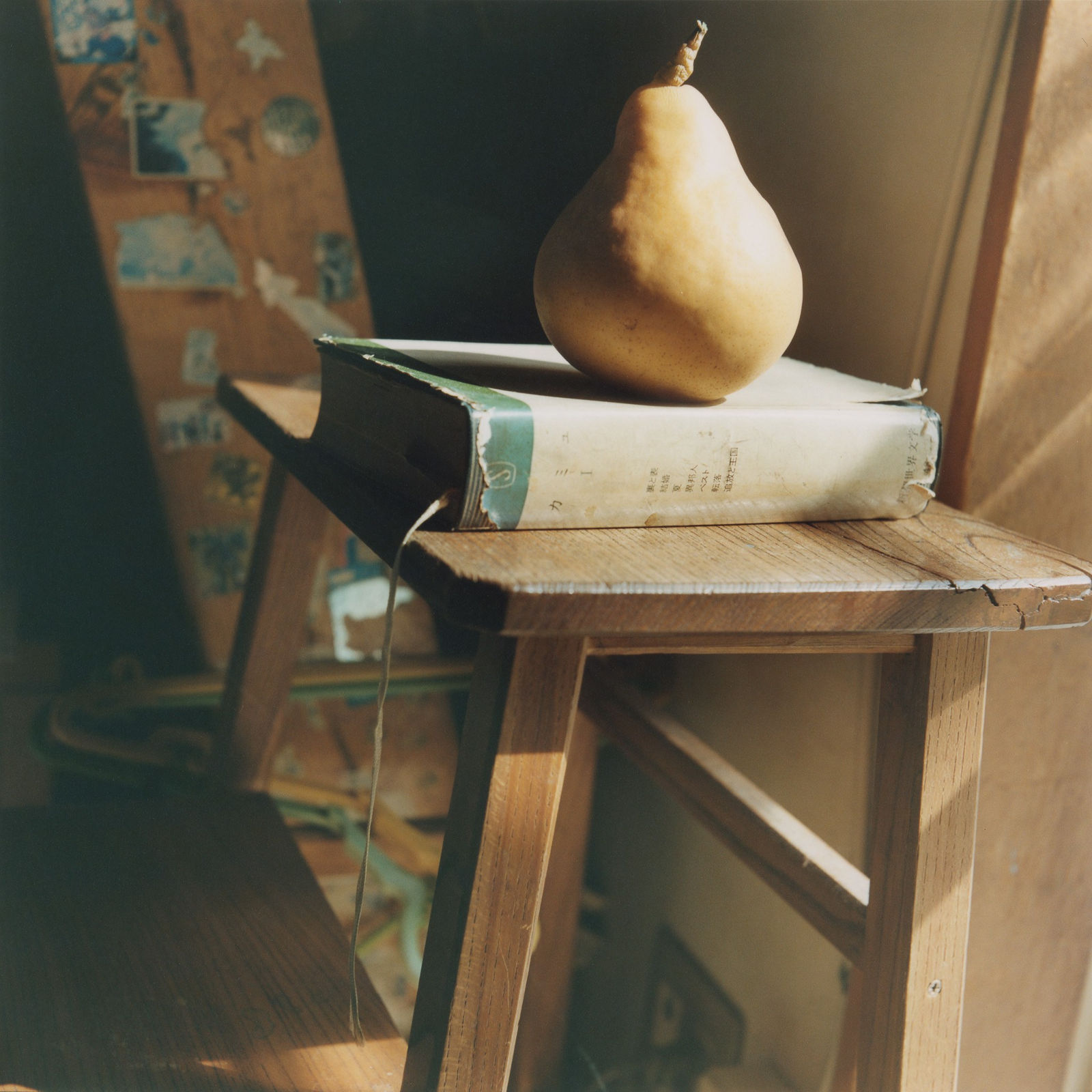 Mikiko Hara, Untitled, 2020