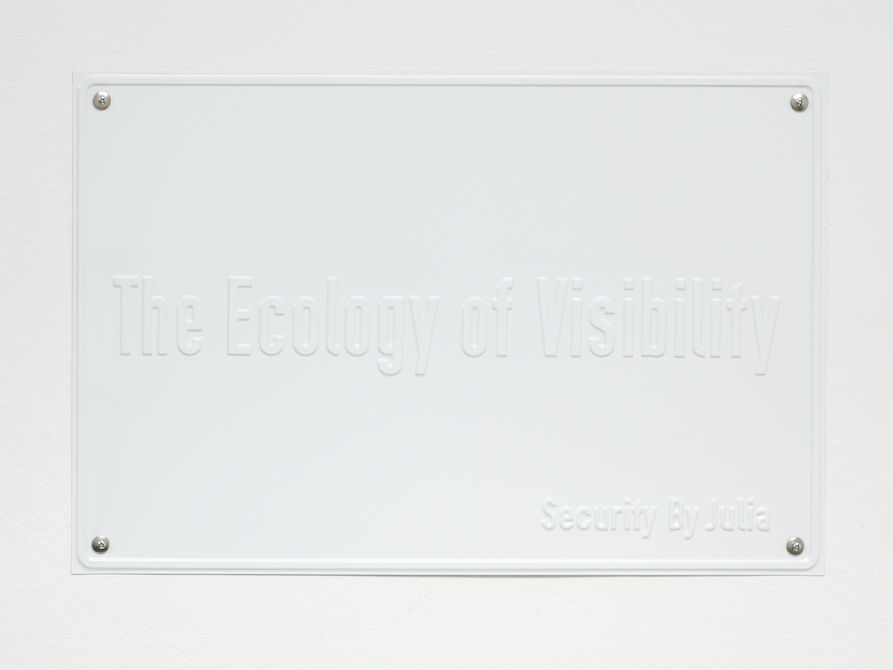 Julia Scher, The Ecology of Visibility (The Ecology of Visibility), 2020
