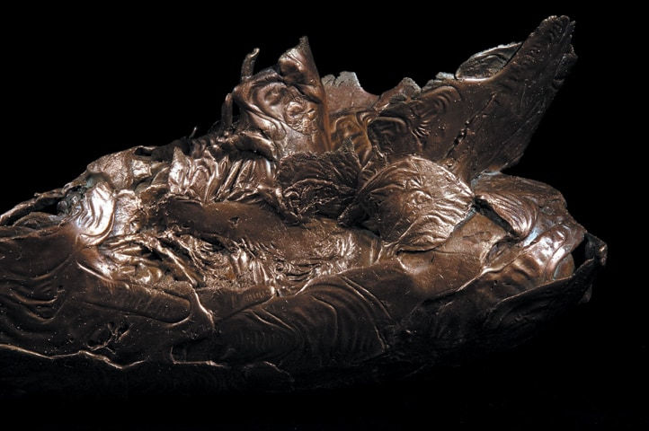 Mrinalini Mukherjee, NATURAL HISTORY I, 2003-2004