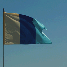 Roman Tolici, Negative Flags, 2023