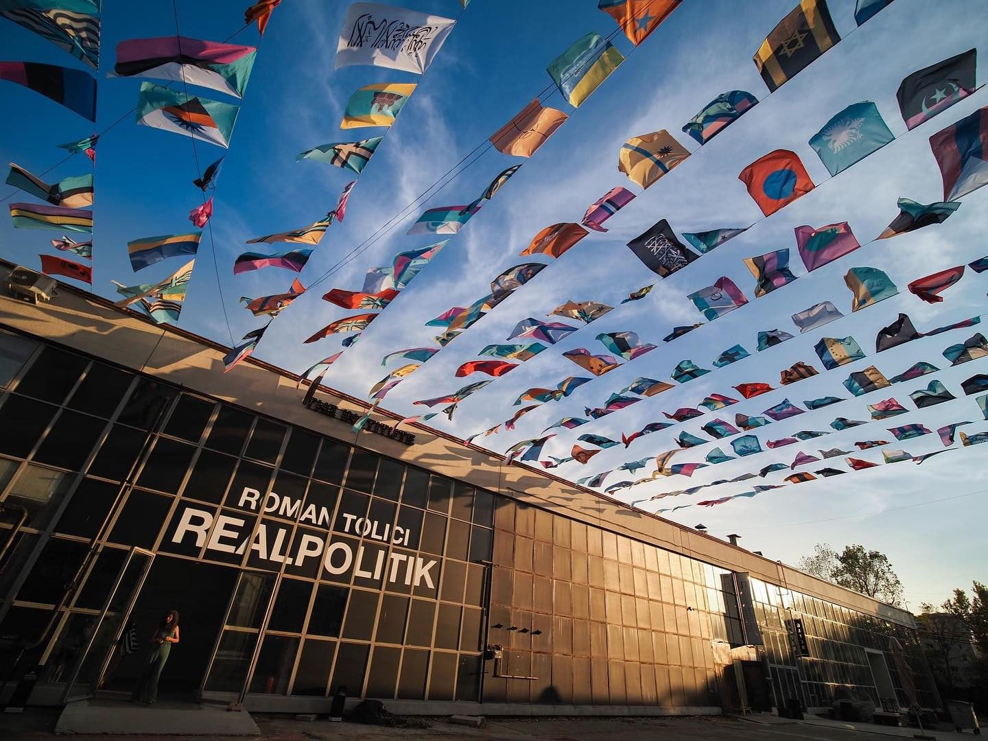 Roman Tolici, Negative Flags, 2023