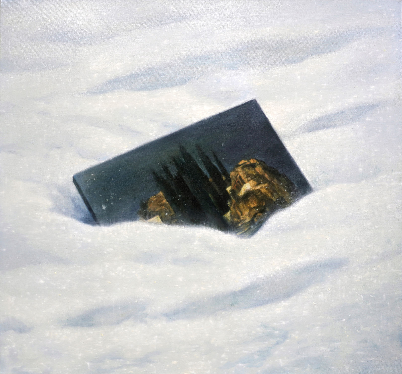 Andrei Gamarț, Winter, 2025