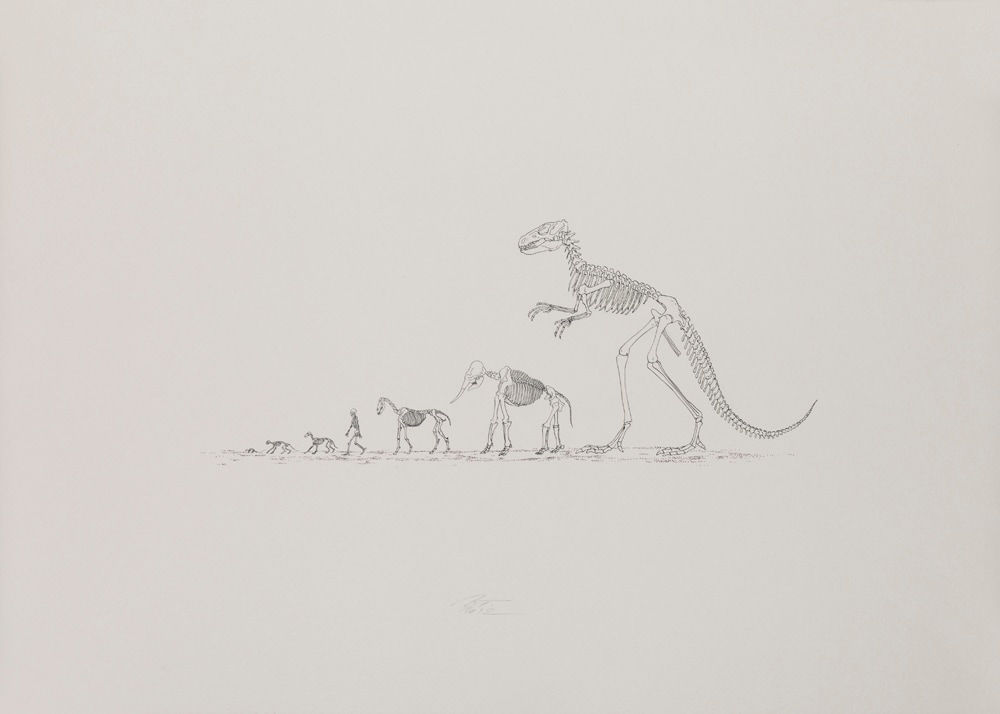 Roman Tolici, New Hope, 2012