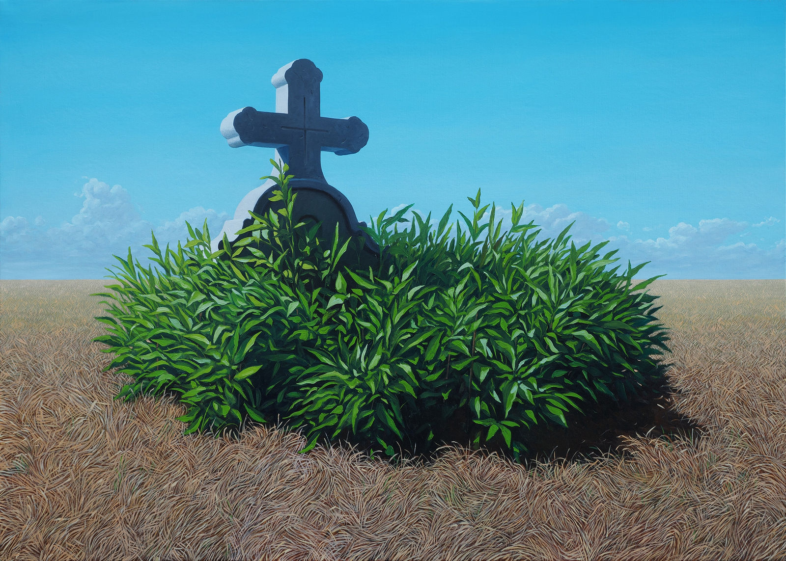 Roman Tolici, New Hope 8, 2024