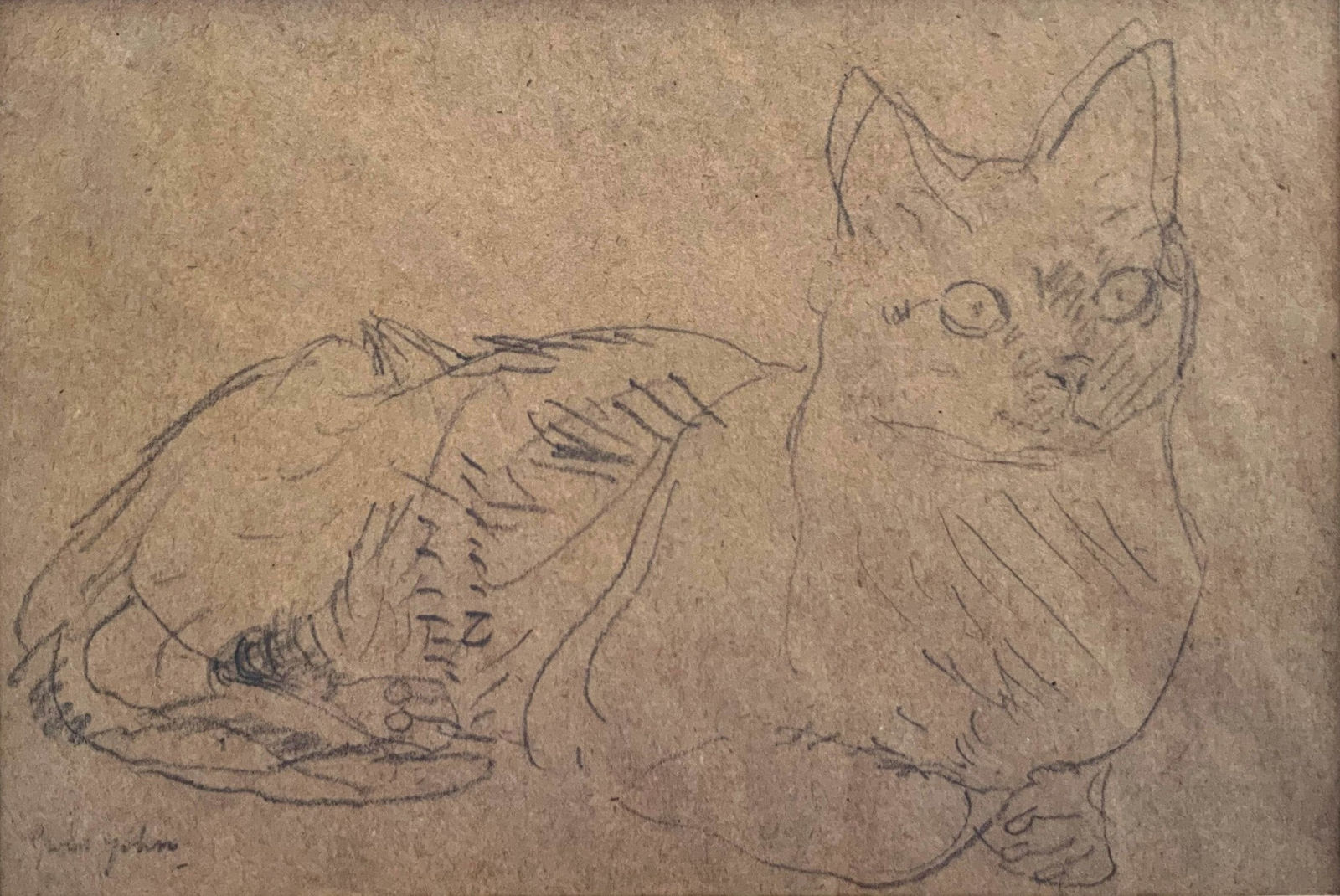 Gwen John, Wide-awake cat, circa 1907-15