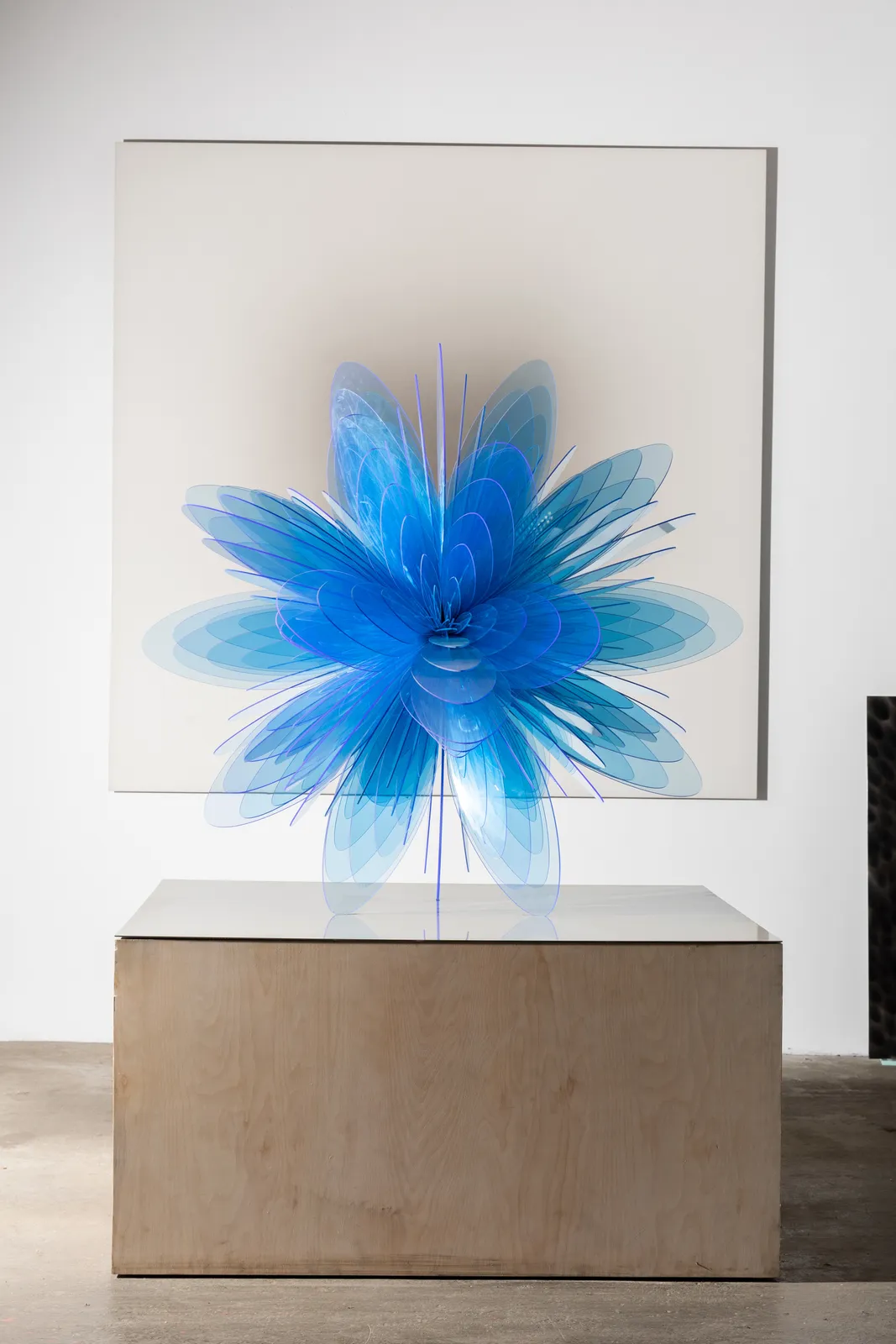 Norman Mooney, Bloom No.1 , 2022