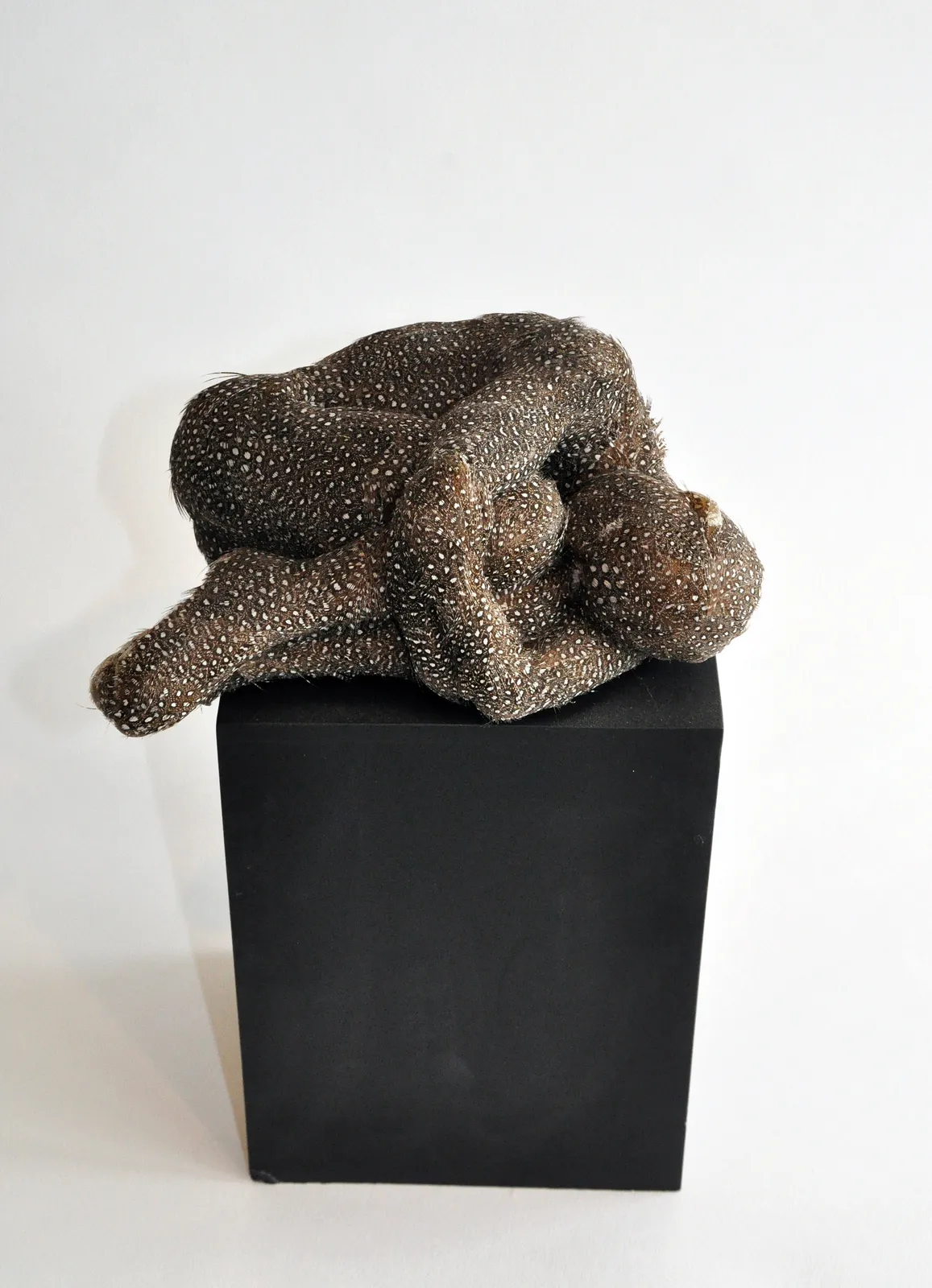 Lucy Glendinning, Sleeping, 2016