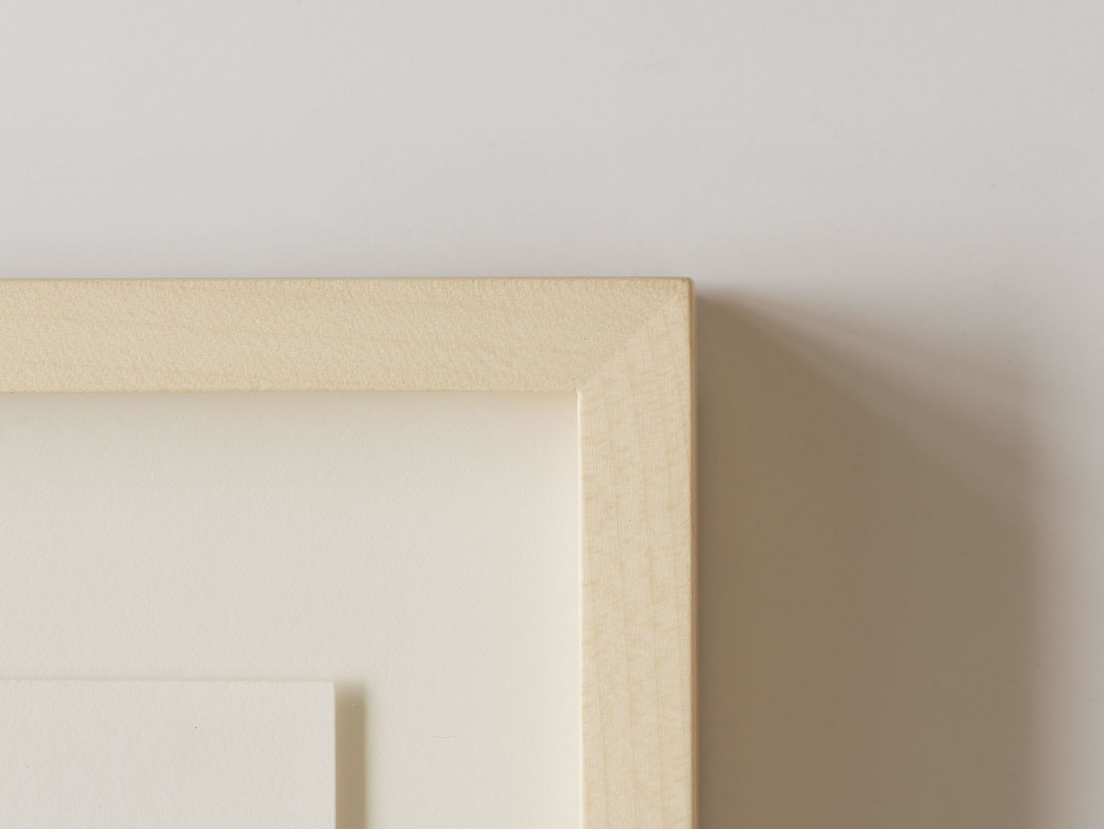 moholinushk, Seen on the wall in a farm near Kyoto, 2024