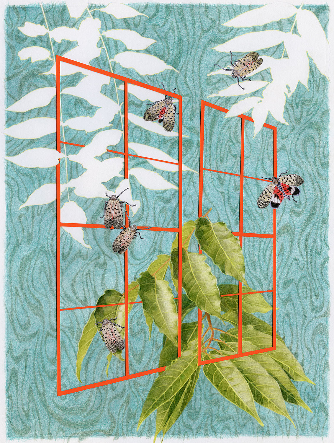 Jessica Tenbusch, In Between the Tree of Heaven and Black Walnuts