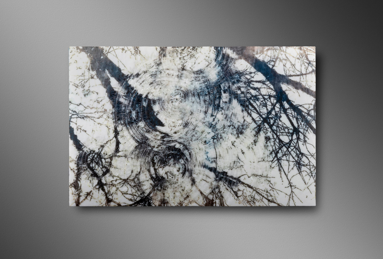 Terri Grant, Falling Into The Sky IV