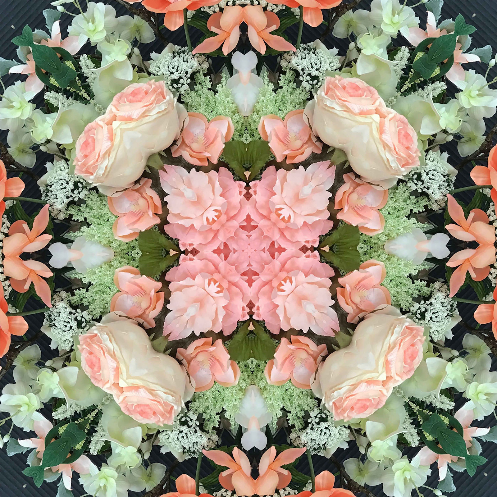 Tim Tate, Pink and Green Rose Lenticular