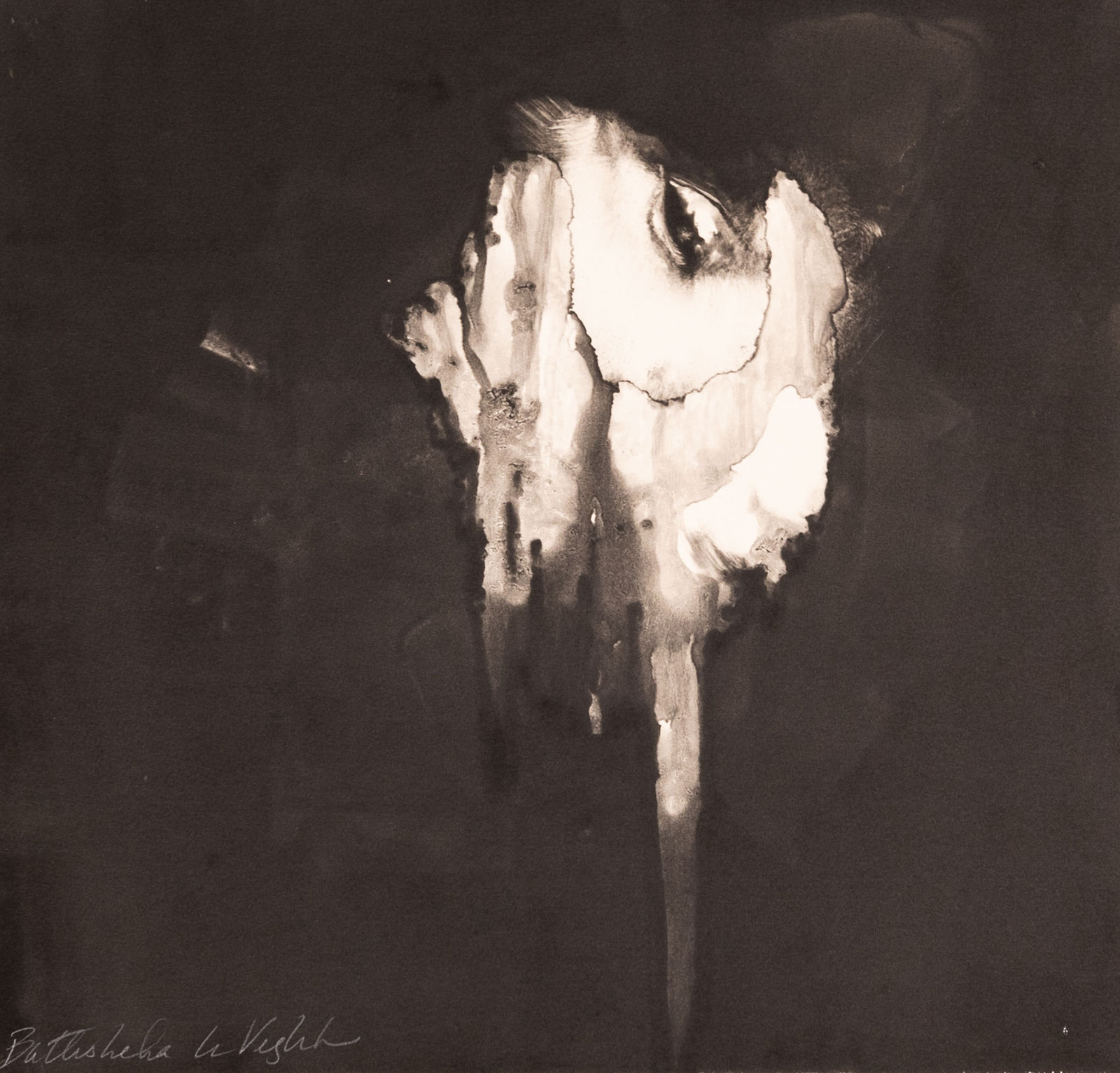 Bathseba Veghte, Horse