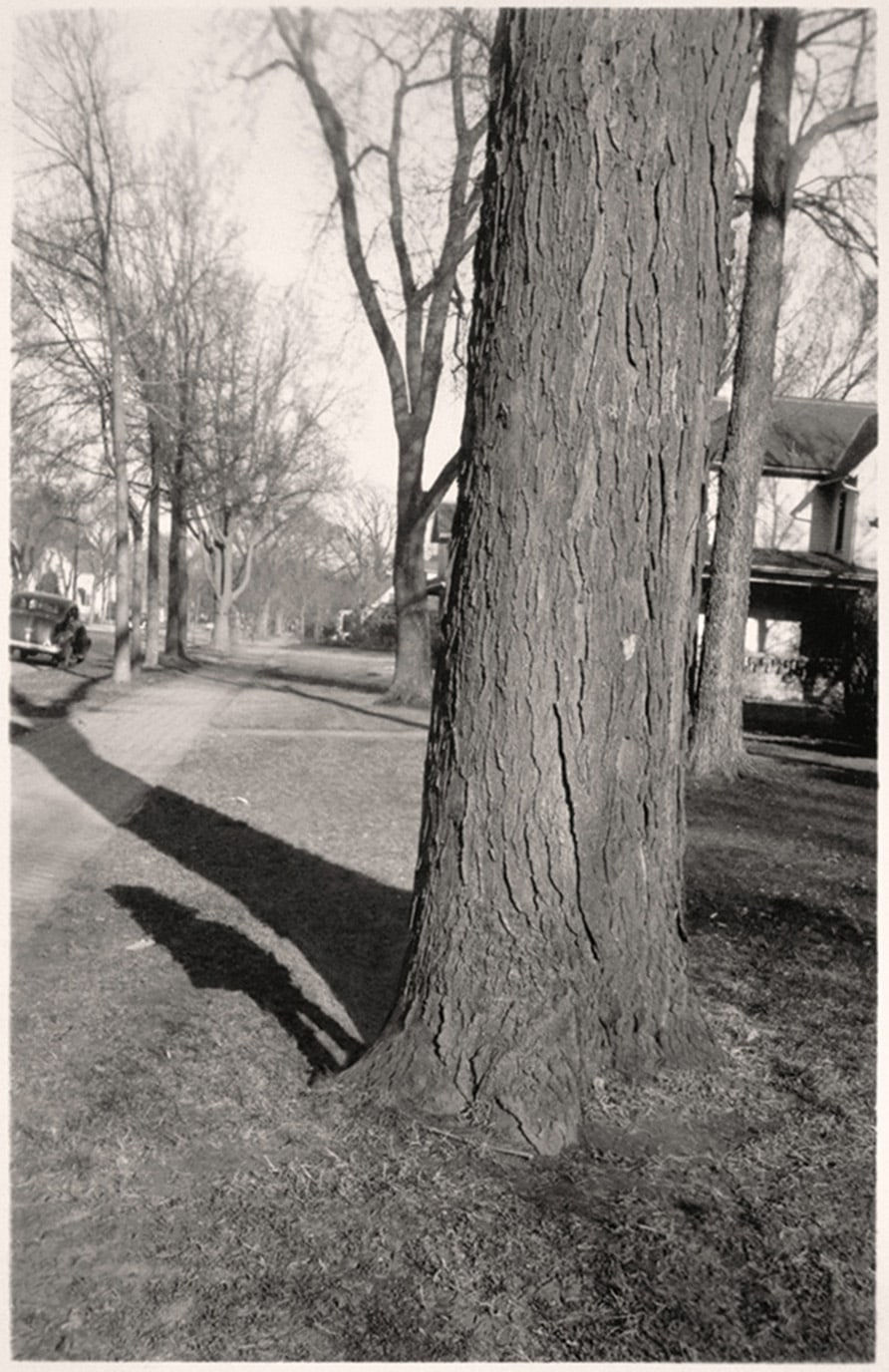 Greg Sand, Traces: Girl Standing by Tree