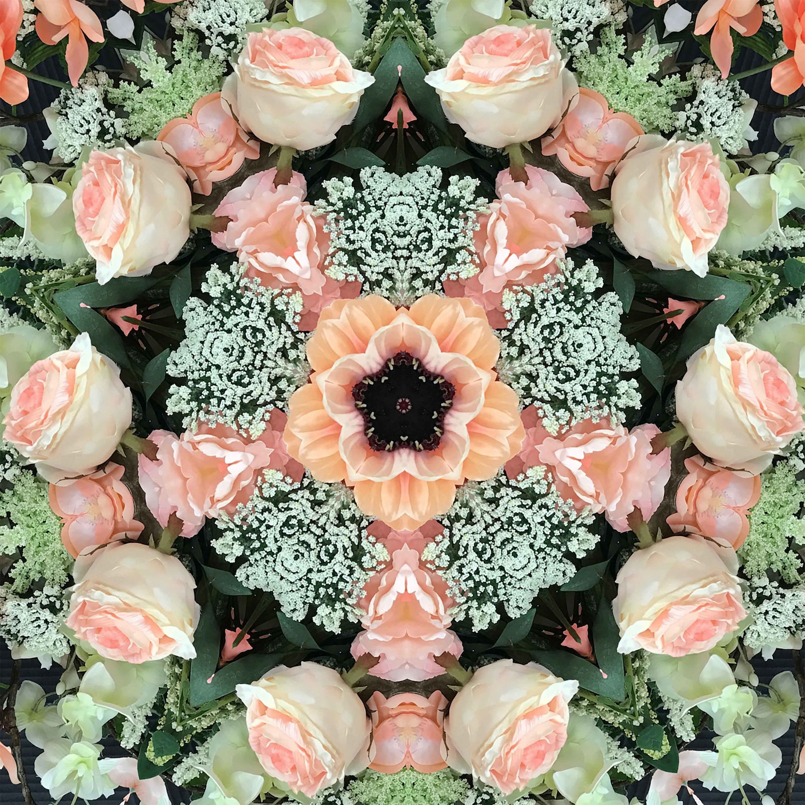 Tim Tate, Pink and Green Rose Lenticular