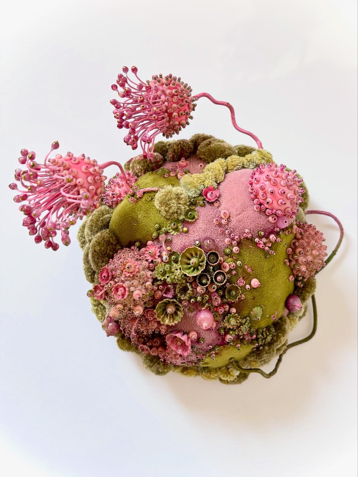 Amy Gross, Evada Dolor