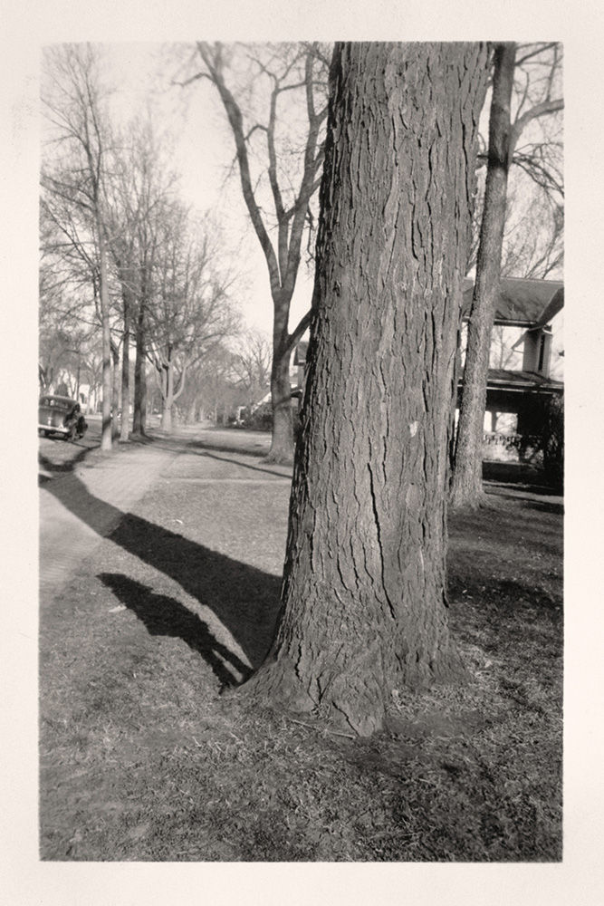 Greg Sand, Traces: Girl Standing by Tree