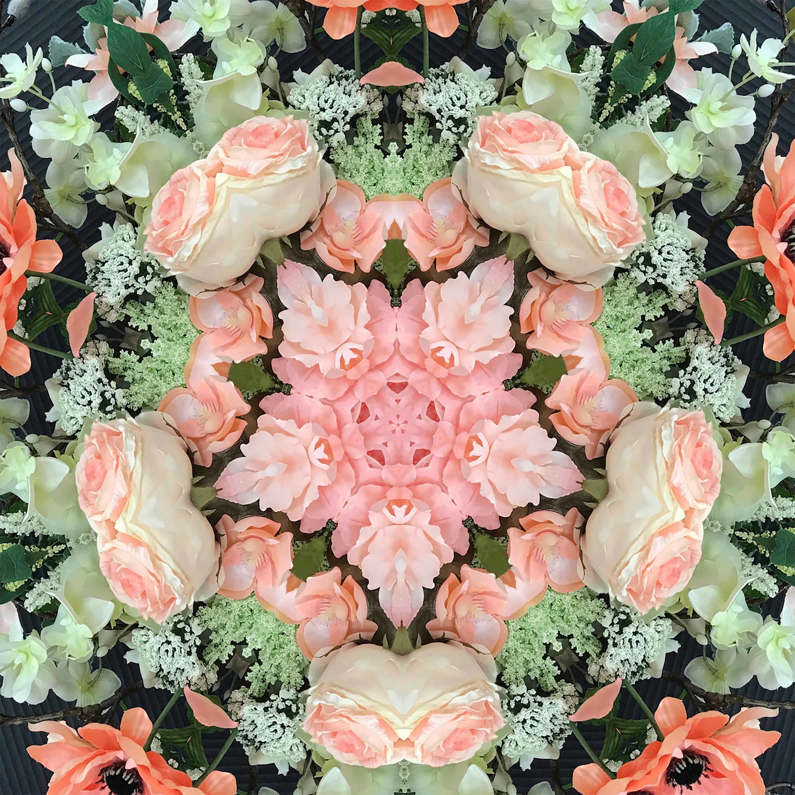 Tim Tate, Pink and Green Rose Lenticular