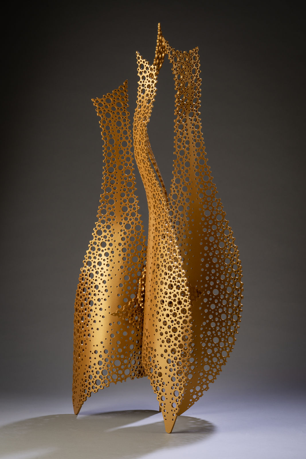 Michael Enn Sirvet, Apolyre