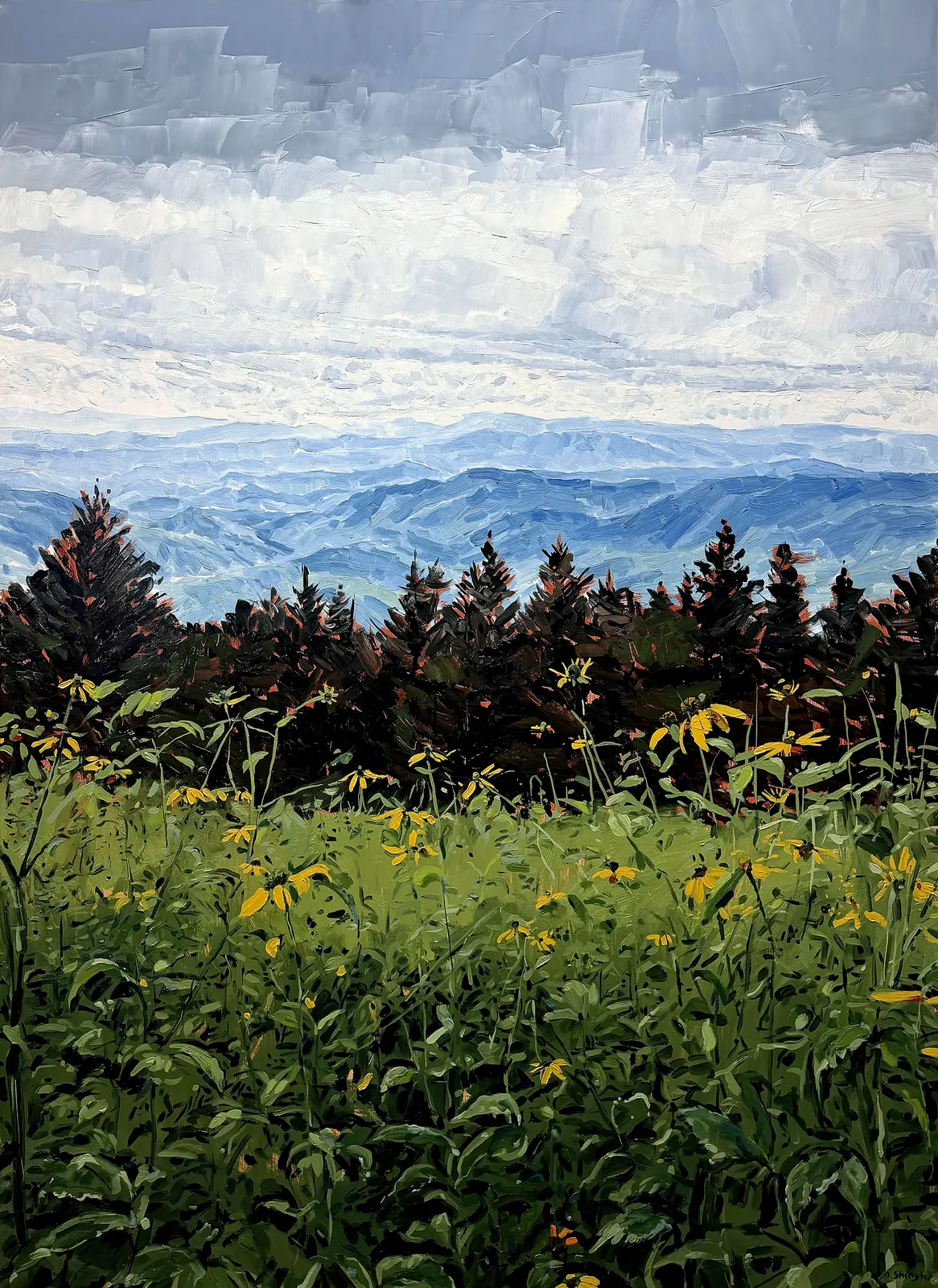 David Shingler, Wild Flowers. Blue Ridge Mountains. NC