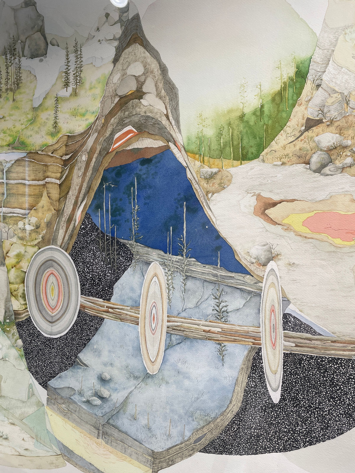 Bryce Lafferty, West (The Tree of Life)