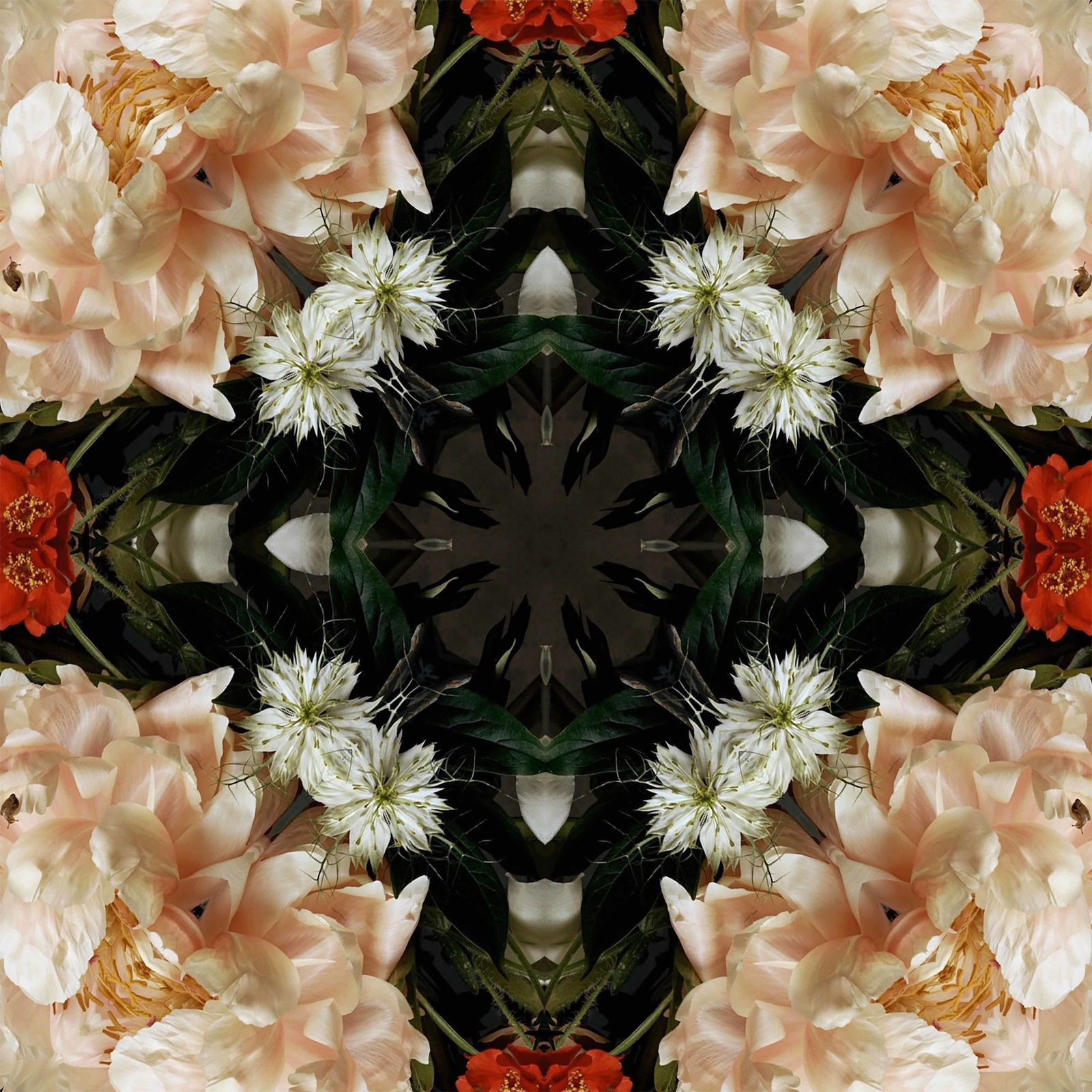 Tim Tate, Cream and Red Floral Lenticular