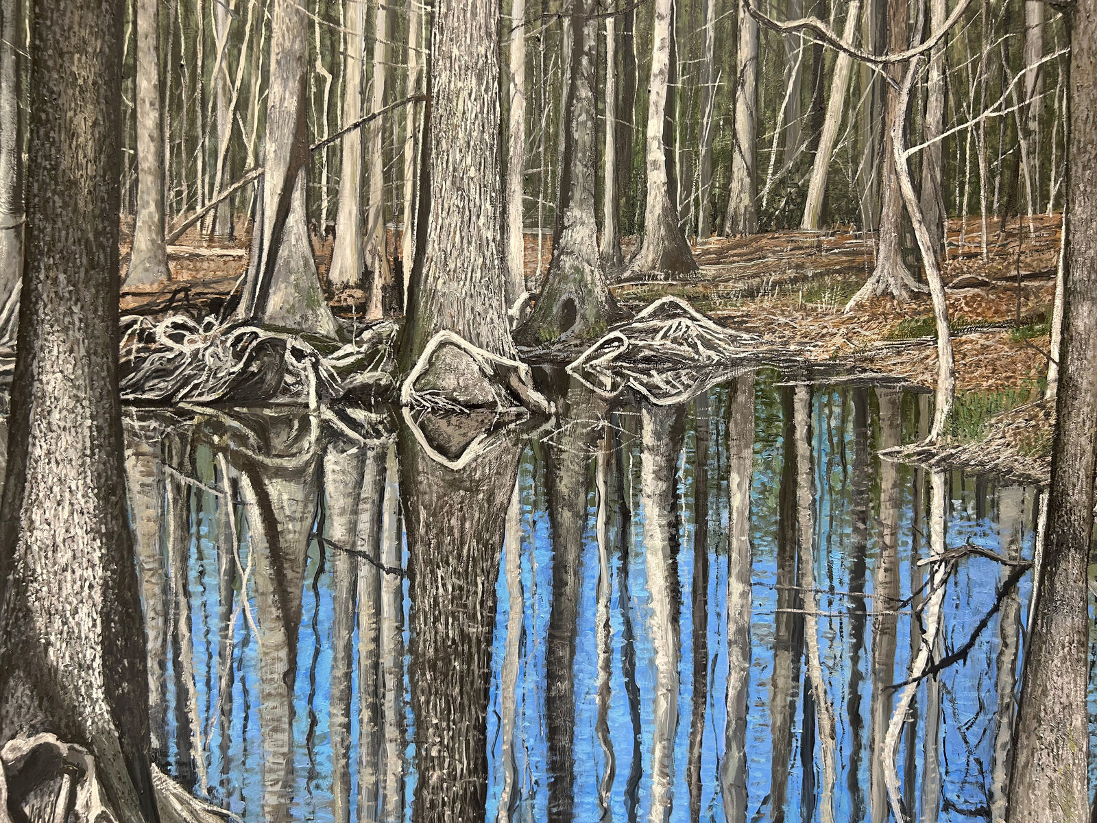 John L. Cleaveland, Jr., Tupelo Swamp/Hog Creek