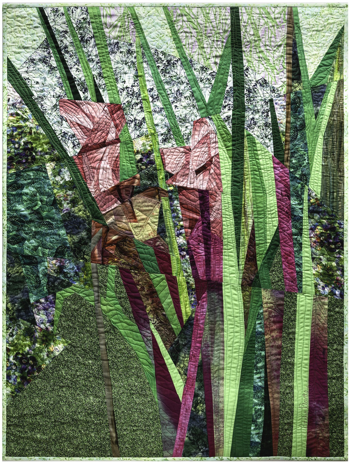 Ann Harwell, Pitcher Plants