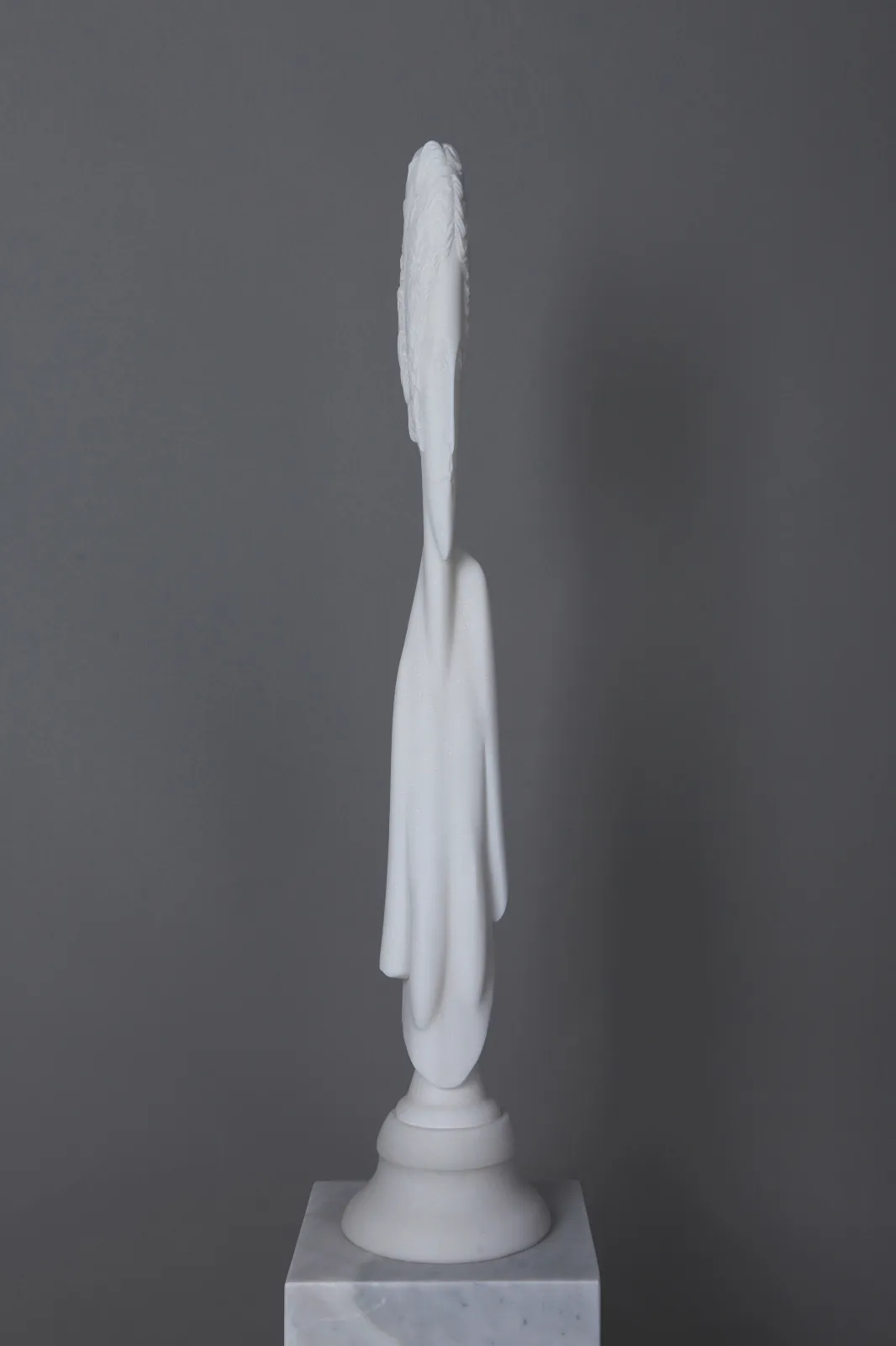 Leo Caillard, Leo Caillard - Venus anamorphose