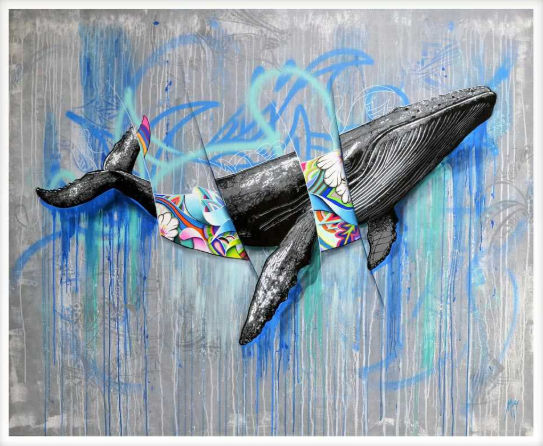 Amaury Dubois, Flying whale