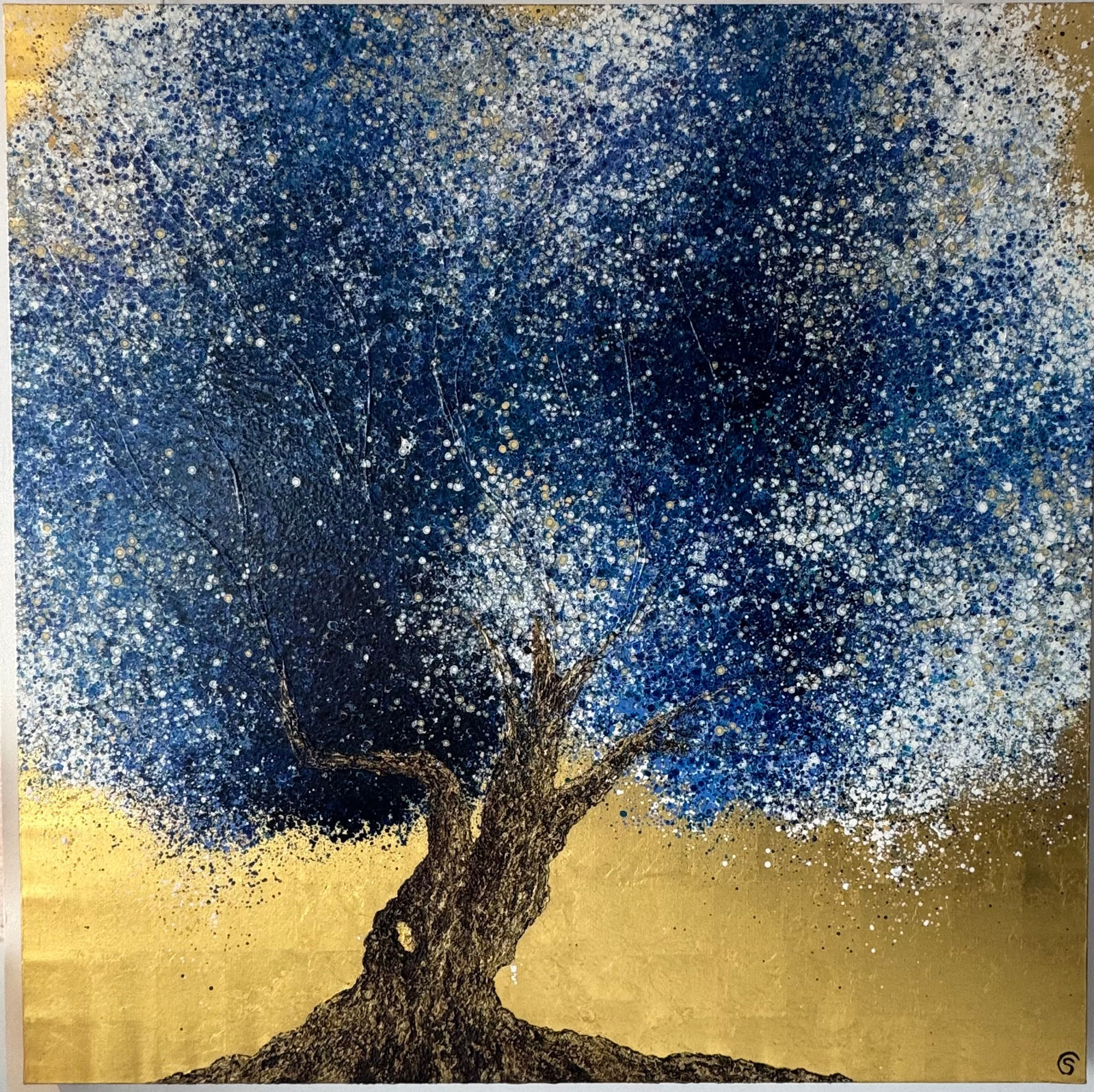 Claire et Siri, 504 A