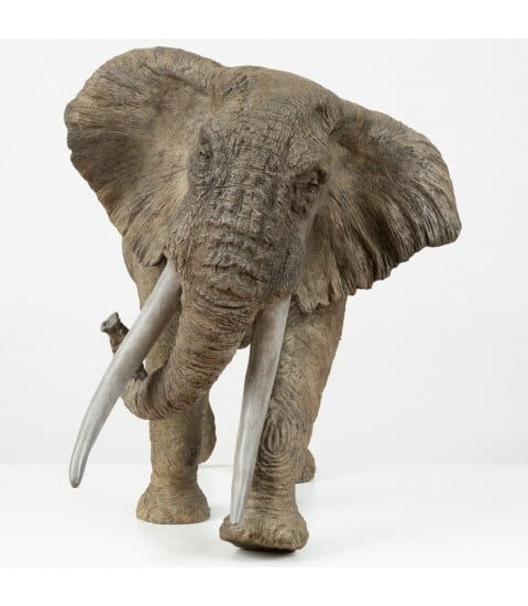 Tania Boucart, Elephant Father