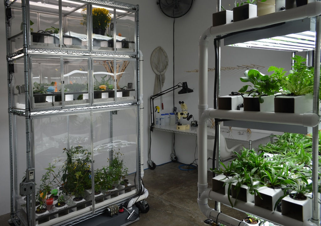 Paul Villinski, Butterfly Machine, 2014