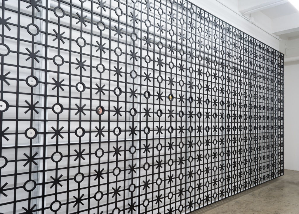 Edra Soto, GRAFT, 2021