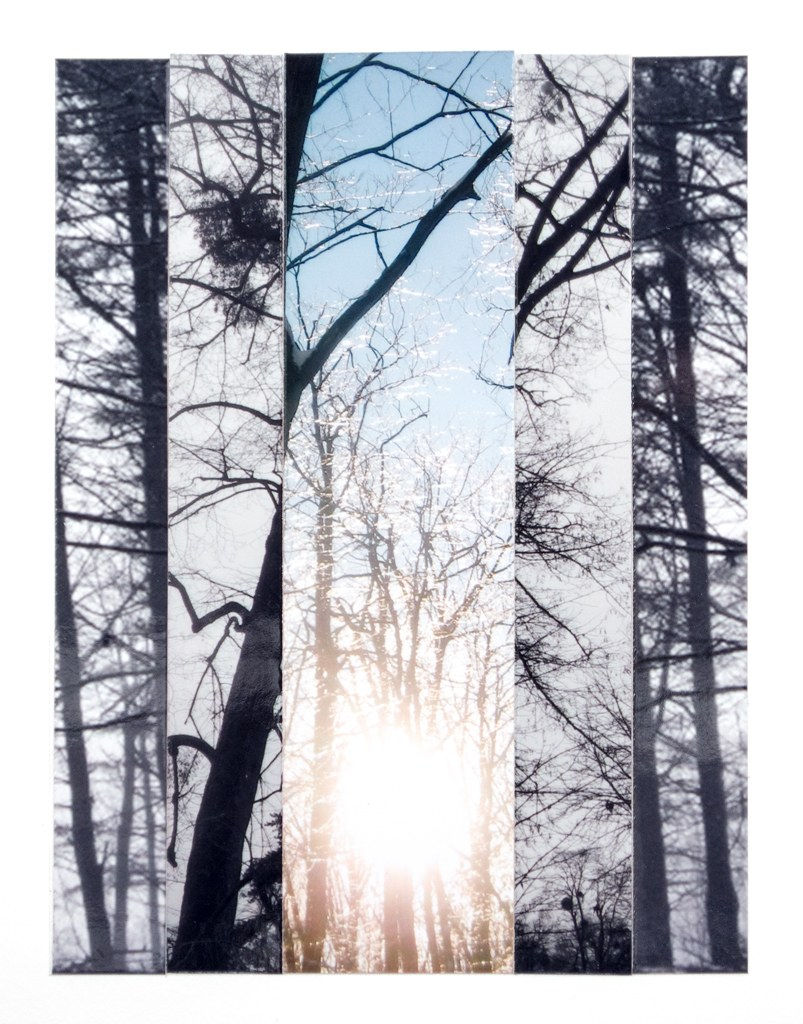 Katia Santibañez, Symphony IV, 2014