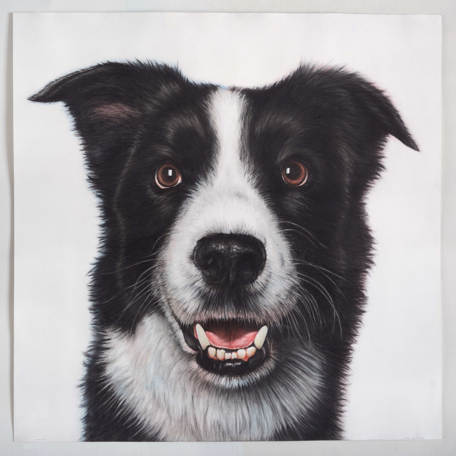 Philip Knoll, Apollo, 2020