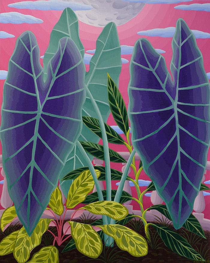 Amy Lincoln, Purple Taro, 2016