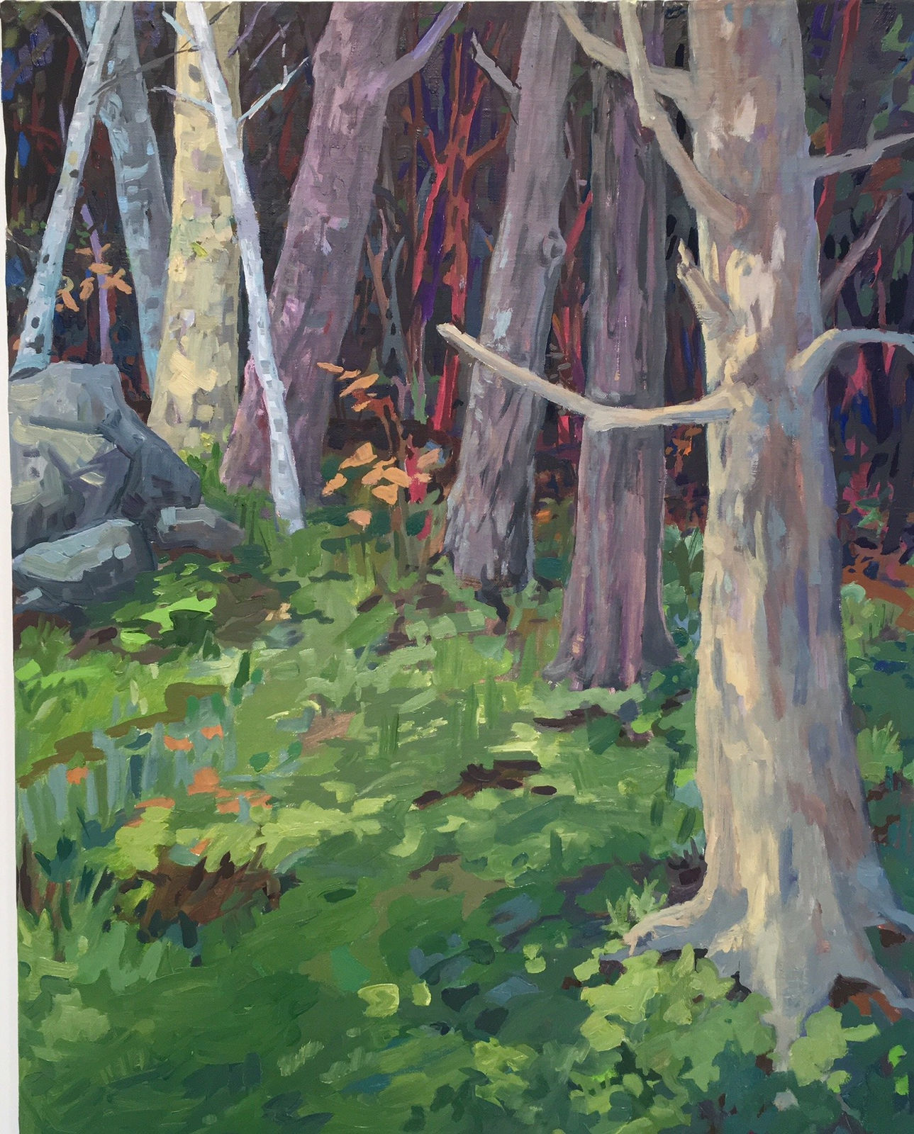 Twenty by Sixteen 2017, KK Kozik, Edge of the Woods, 2017